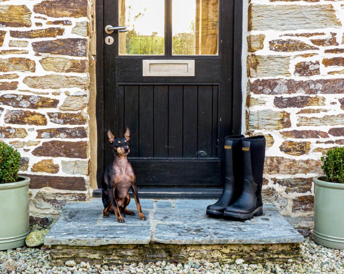 Gwel An Heyl, Padstow Villa Little Petherick Bagian luar foto