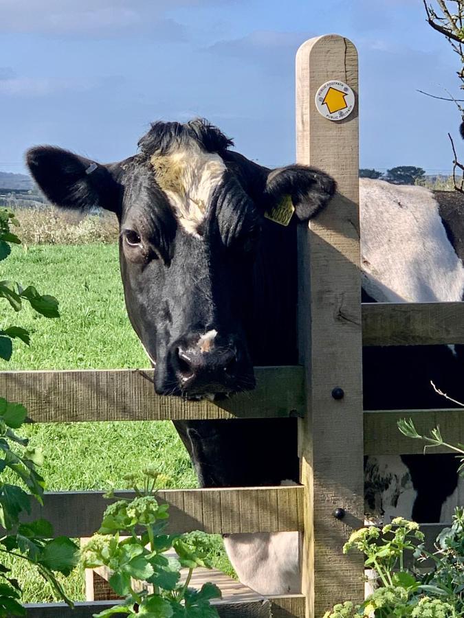 Gwel An Heyl, Padstow Villa Little Petherick Bagian luar foto