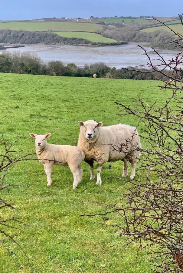 Gwel An Heyl, Padstow Villa Little Petherick Bagian luar foto